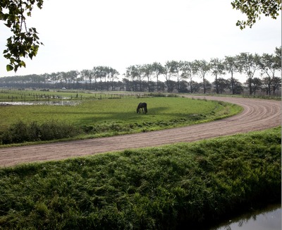 Vliegtuigschaduw Vliegtuigschaduw