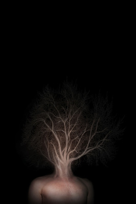 Tree of life Tree of life