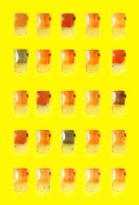 portraits of yellow 10001