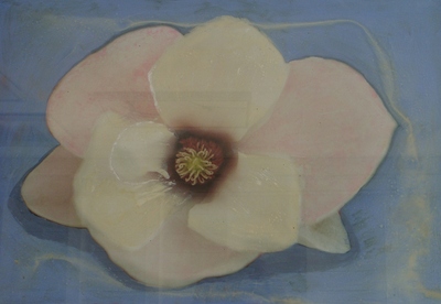 flower 2 - Spring for one day flower 2 - Spring for one day