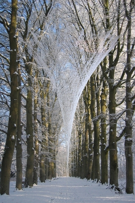 de kathedraal (winter)