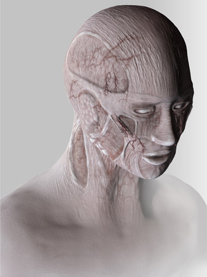Tabula rasa imaginary anatomy Tabula rasa imaginary anatomy