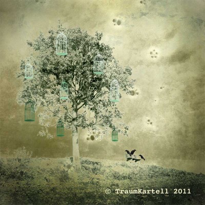 © TraumKartell boomkooien © TraumKartell boomkooien