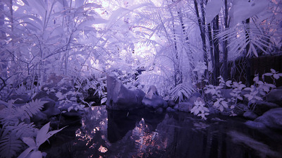 Hortus 00190 Hortus 00190