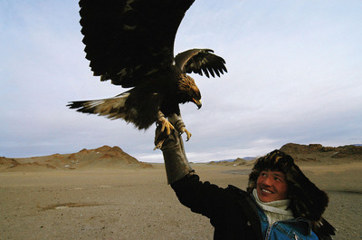 Bayan Ulgii eagle