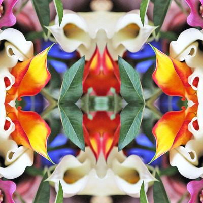 Serie Flowers Power Serie Flowers Power