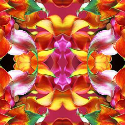 Seire Flowers Power: Fire Heart