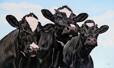 Drie koeien Drie koeien
