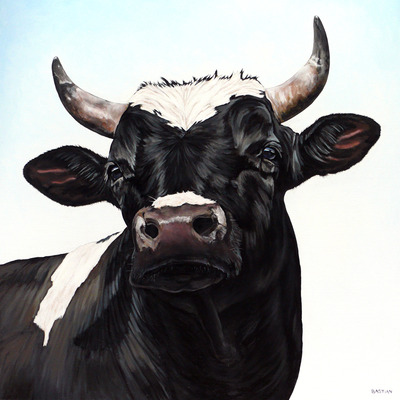 Stier 8049 Stier 8049