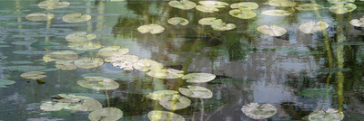 Spiegelingen IV Spiegelingen IV