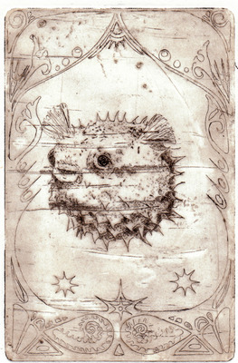 Pufferfish Pufferfish
