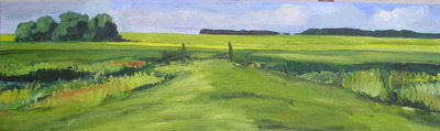 amerongerbovenpolder amerongerbovenpolder