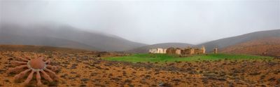 home home