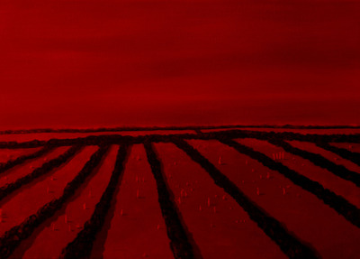 Saturday Fields Saturday Fields