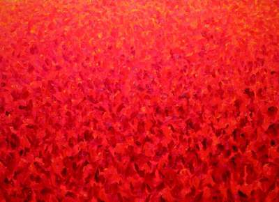 groot rood tulpenveld groot rood tulpenveld
