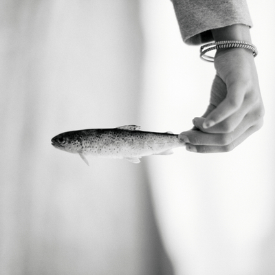 trout |trout| trout |trout|