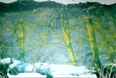 gestolde reflectie gestolde reflectie