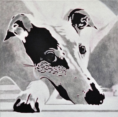 Mister X - Portrait of a Greyhound 3 Mister X - Portrait of a Greyhound 3