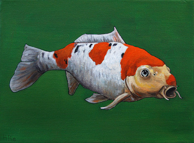 koi 1