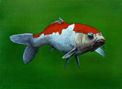koi2 koi2