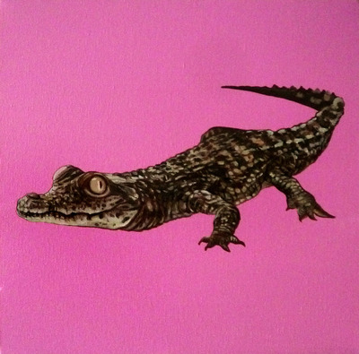 alligator