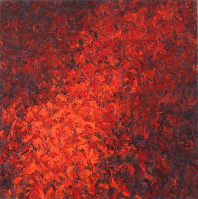 zwart-rood zwart-rood