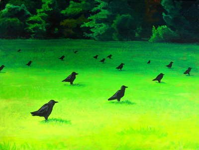 Crows Crows
