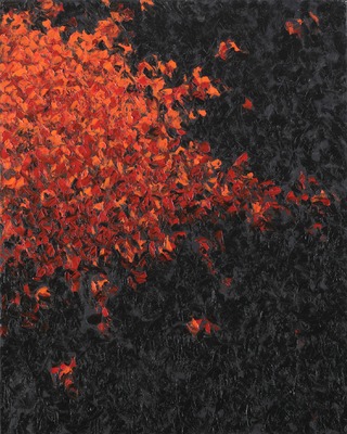 rood-zwart rood-zwart