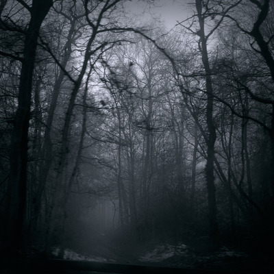 Mist Mist