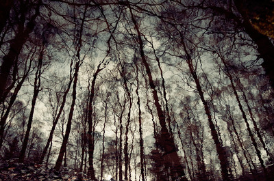 Mirrored Mirrored