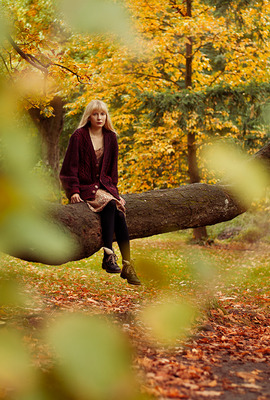 Autumn Autumn