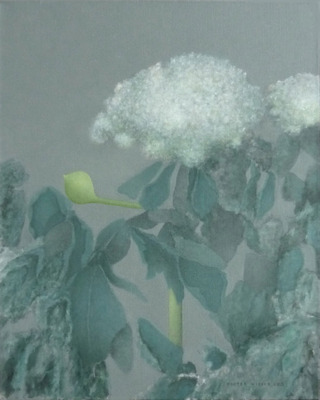 Hortensia Hortensia