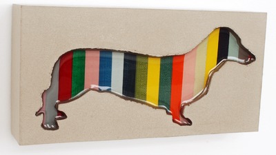 Dachshund 30