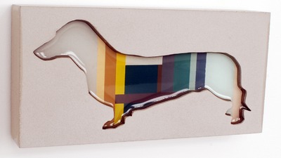 Dachshund 31 Dachshund 31