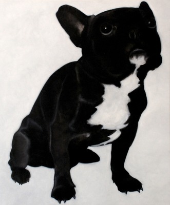 French Bulldog II