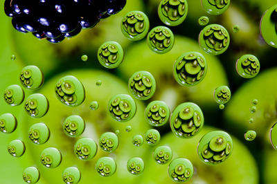 Kiwi variatie Kiwi variatie