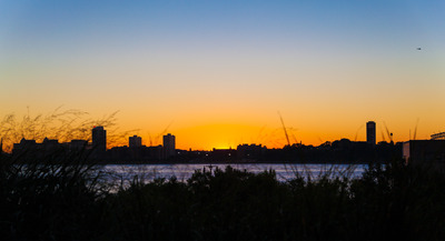 Jersey NY Jersey NY