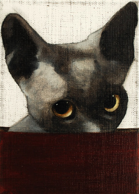 Miss Kitty II Miss Kitty II