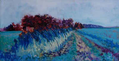 Gronings Landschap Gronings Landschap