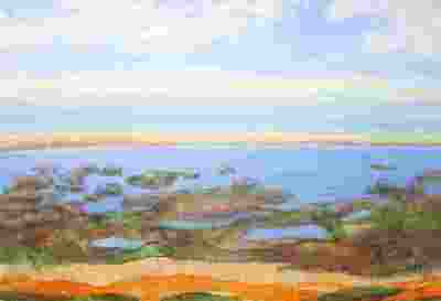 Het Wad Het Wad