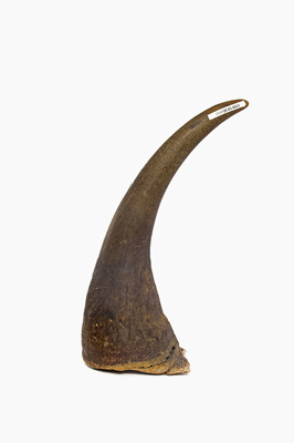Wildlife Trade 6 Wildlife Trade 6