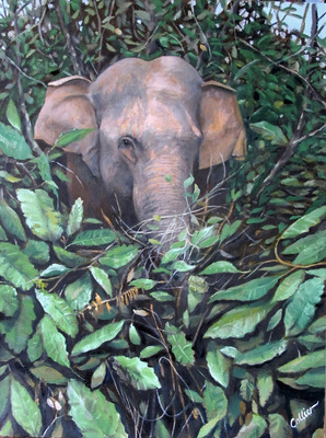 Highway Elephant Highway Elephant