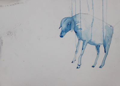 Schaap Schaap