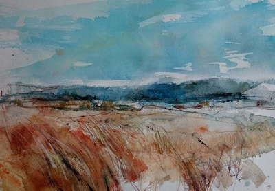 De Wadden De Wadden