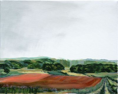 Landschap Landschap