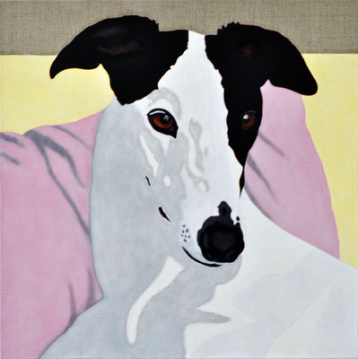 Kate - portrait of a Greyhound 7 Kate - portrait of a Greyhound 7