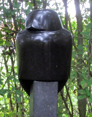 Blackbird Blackbird