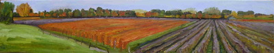 herfst op de dijk herfst op de dijk