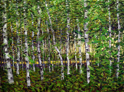 Berkenbos Berkenbos