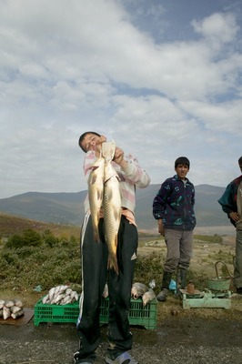 Selling fish after fishing